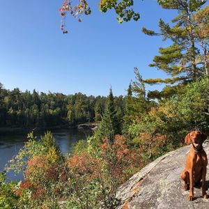Meet your Posher, Robert